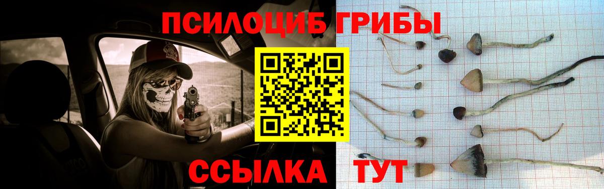 Псилоцибиновые грибы MAGIC MUSHROOMS Россошь